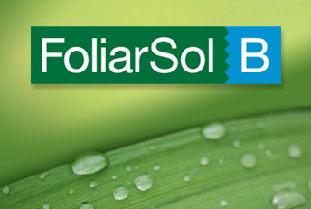 Desarrollo de identidad para línea FoliarSol. Diseño corporativo, branding, manuales de identidad corporativa, logotipos, marcas