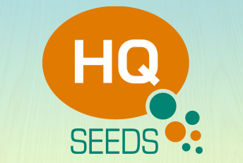 HQ Seeds. Diseño corporativo, branding, manuales de identidad corporativa, logotipos, marcas
