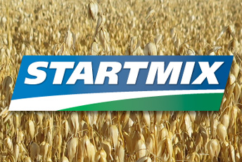 Desarrollo y diseño de marca Startmix. Petrobras Argentina. Diseño corporativo, branding, manuales de identidad corporativa, logotipos, marcas