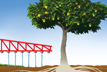 Ilustración infográfica. Bunge Fertilizantes.