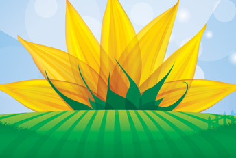 Diseño envase e ilustración vectorial para yerbera SolMIX de Bunge. Merchandising. Envases en general, bolsas, etiquetas