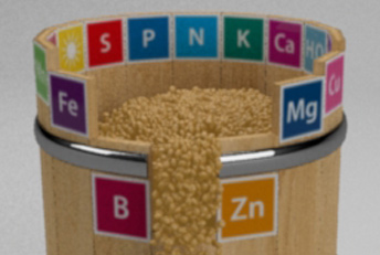 Ilustración 3D ley del mínimo para presentaciones Bunge