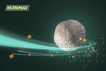 Spot animación 3D Fertilizantes Nutrimax. Creatividad en comunicación publicitaria. Anuncios en tv, radio, web, diarios y revistas.
