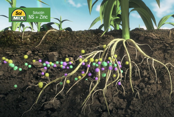 Spot animación 3D Fertilizantes SolMIX. Creatividad en comunicación publicitaria. Anuncios en tv, radio, web, diarios y revistas.