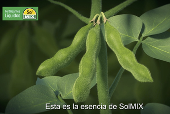 Spot animación 3D Fertilizantes SolMIX. Creatividad en comunicación publicitaria. Anuncios en tv, radio, web, diarios y revistas.
